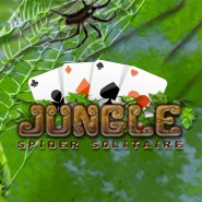 Games passport jungle spider